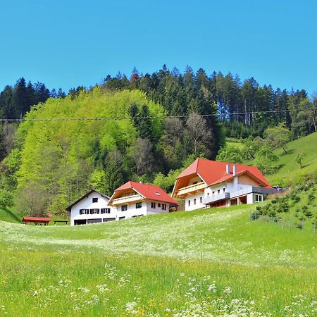 Stinneshof Oberharmersbach Buitenkant foto