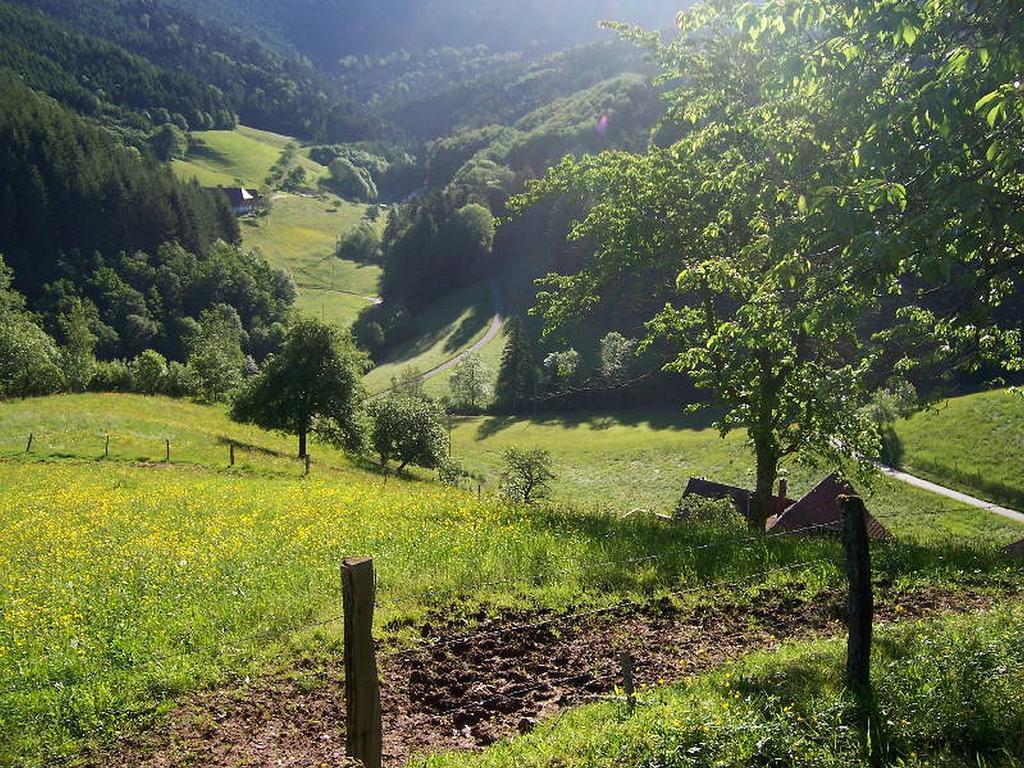 Stinneshof Oberharmersbach Buitenkant foto