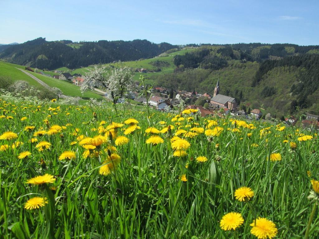 Stinneshof Oberharmersbach Buitenkant foto