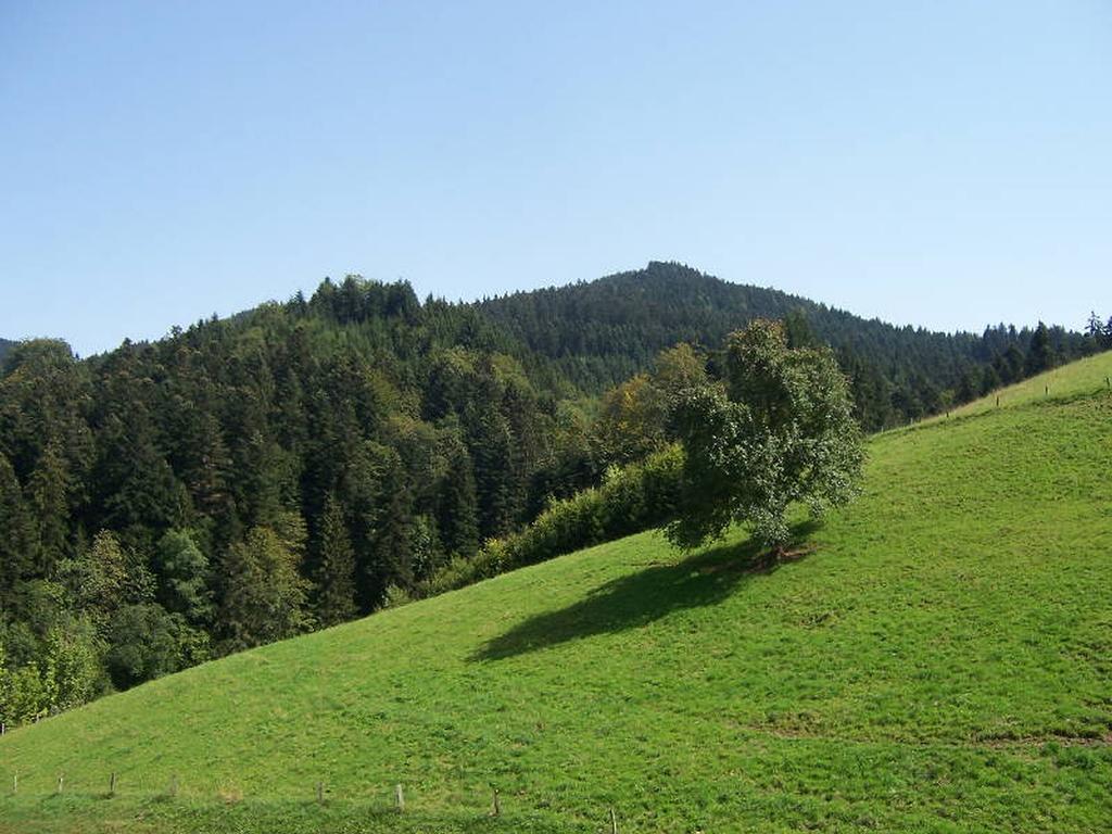 Stinneshof Oberharmersbach Buitenkant foto