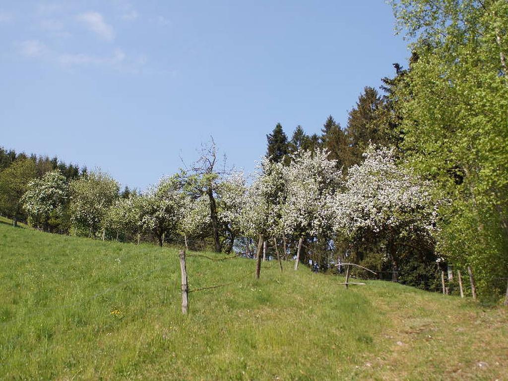 Stinneshof Oberharmersbach Buitenkant foto