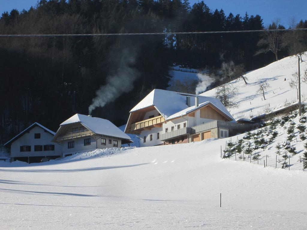 Stinneshof Oberharmersbach Buitenkant foto