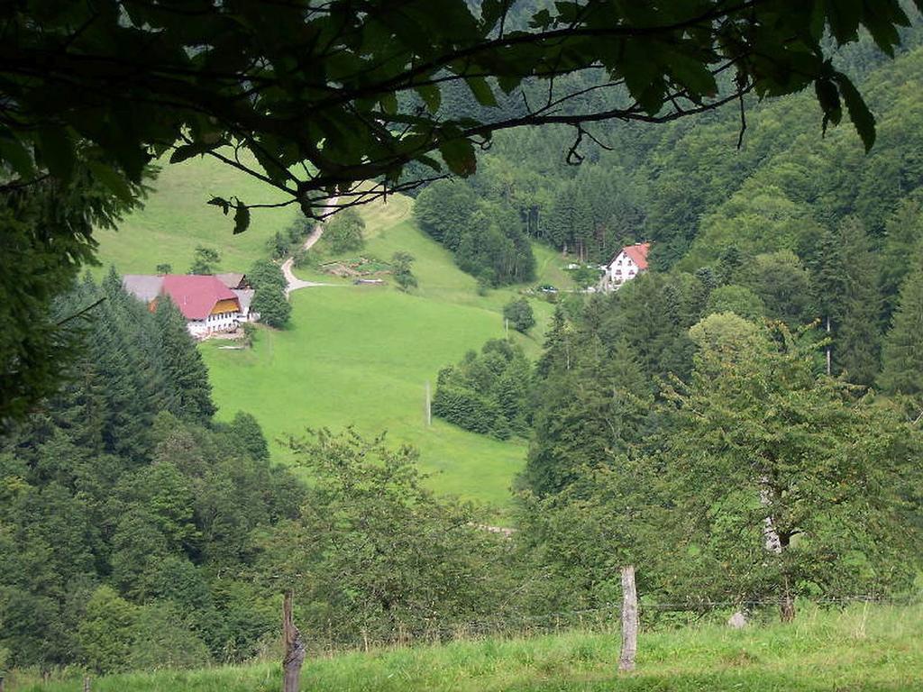 Stinneshof Oberharmersbach Buitenkant foto