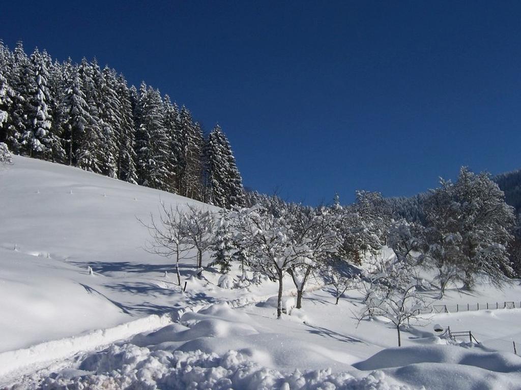 Stinneshof Oberharmersbach Buitenkant foto