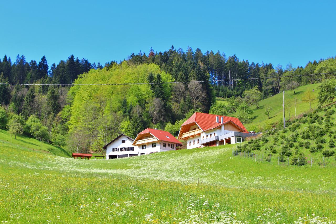 Stinneshof Oberharmersbach Buitenkant foto